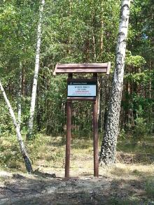 Działania w dziedzinie edukacji leśnej społeczeństwa realizowane w Nadleśnictwie Chotyłów