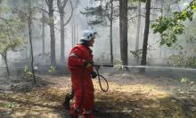 Wzrasta zagrożenie pożarowe w lasach Nadleśnictwa Chotyłów