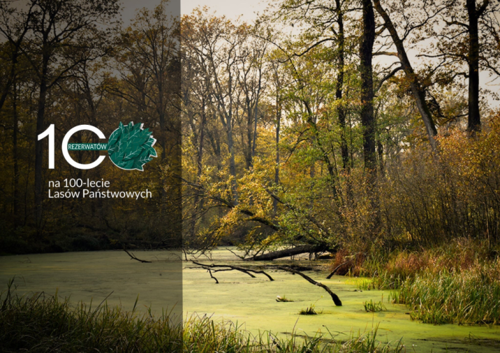 Zielonogórski Las Odrzański Fot. Przemysław Kozłowski