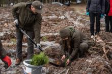 SADZIMY RAZEM Z NATURĄ - ruszyły wiosenne odnowienia.