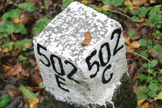 fot. RDLP w Białymstoku