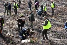 Sadzimy Razem z naturą.