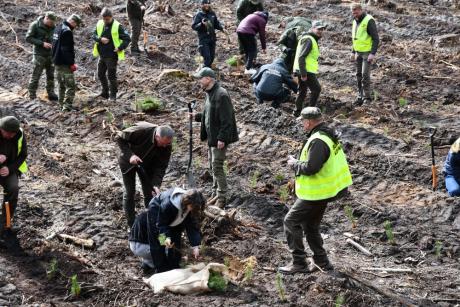 Sadzimy Razem z naturą.